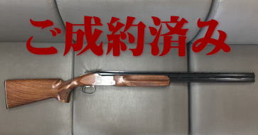 �����������������C���[�W